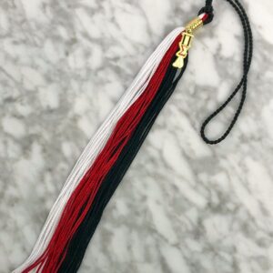 Pi Sigma Alpha Graduation Tassel & Charm